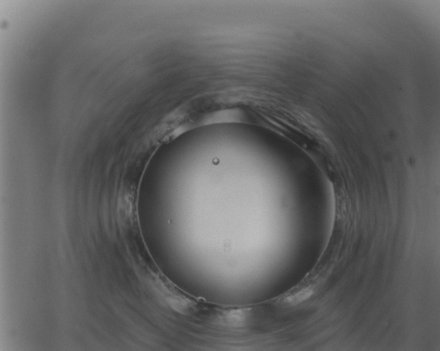 X0000062840382200601201644