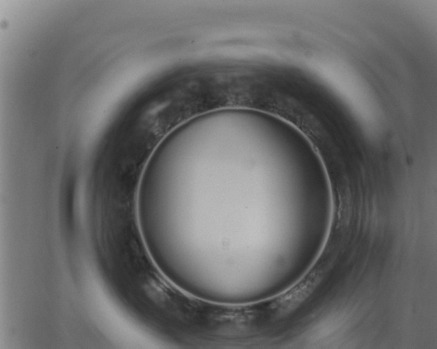 X0000062840383200601201644