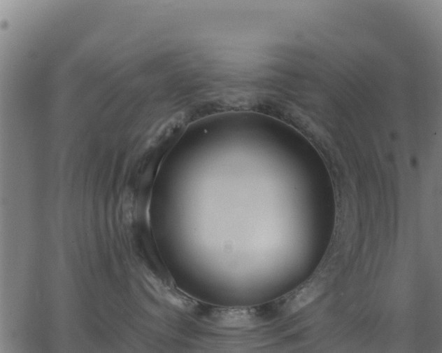 X0000062840384200601201644