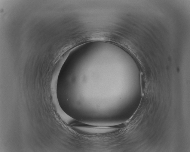 X0000062840385200601201643