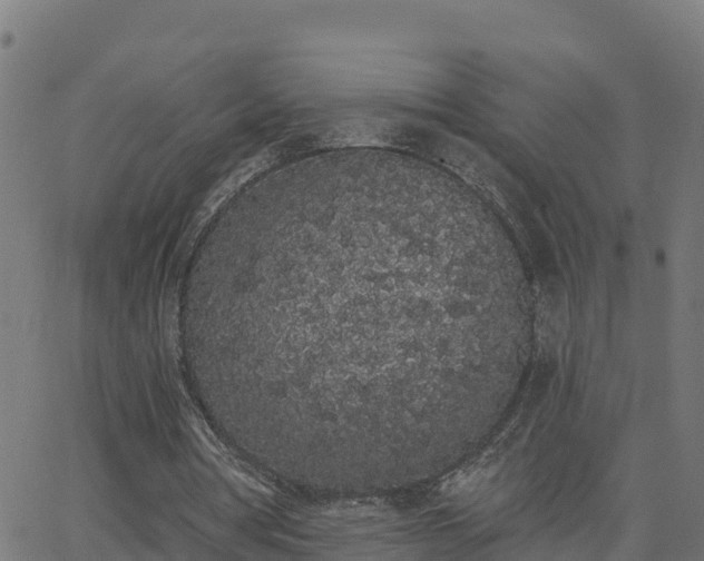 X0000062840386200601201643