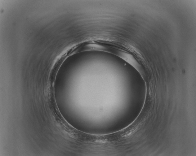 X0000062840388200601201643