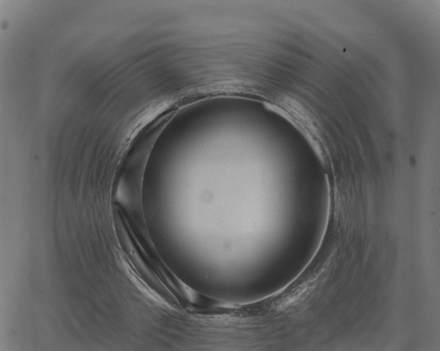 X0000062840389200601201643