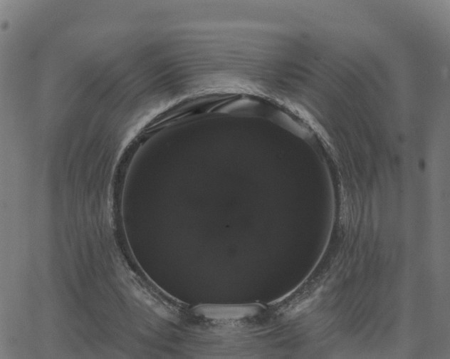 X0000062840391200601201643