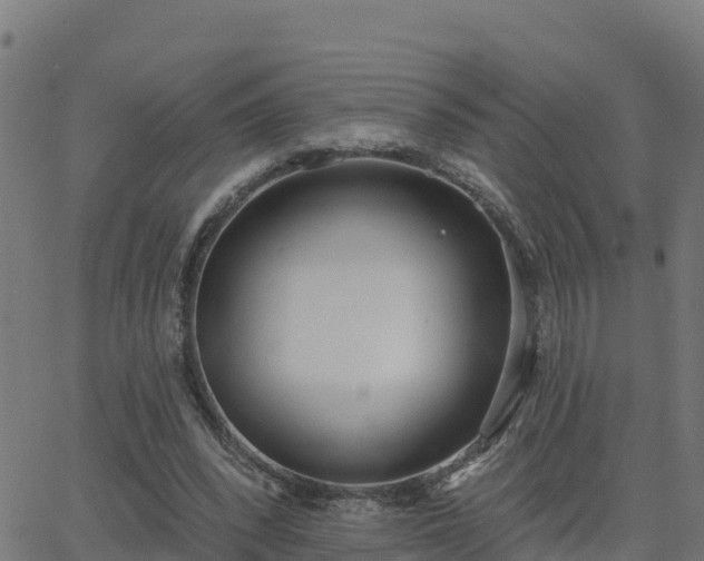 X0000062840392200601201643