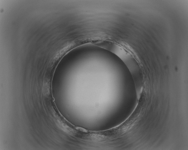 X0000062840393200601201643