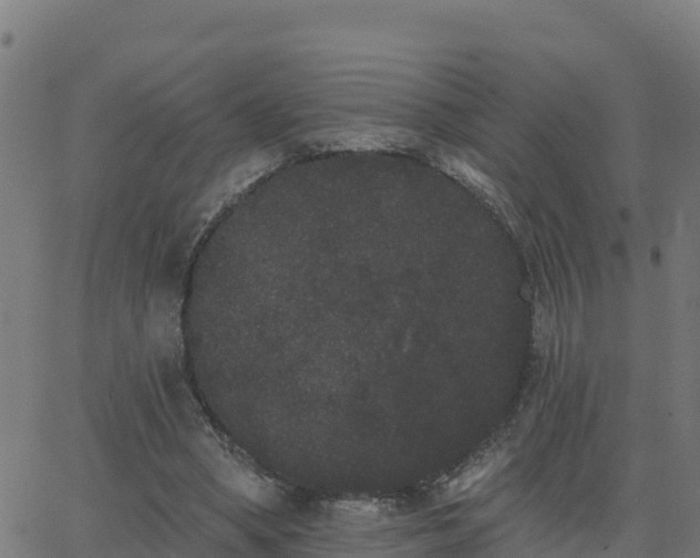 X0000062840394200601201643