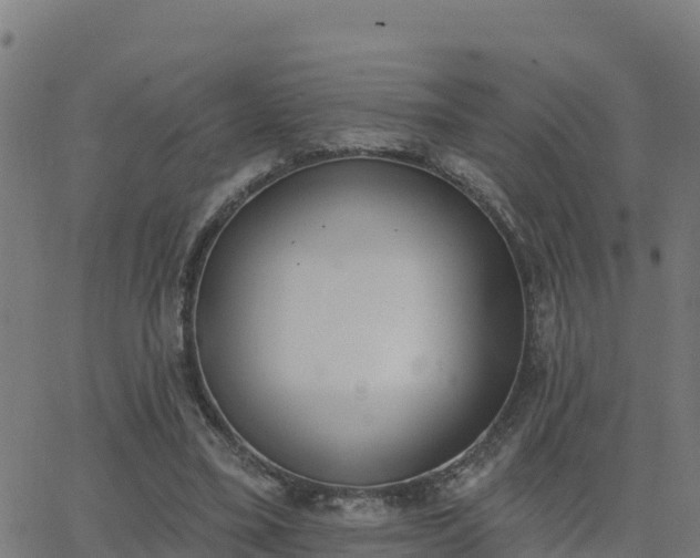 X0000062840395200601201643