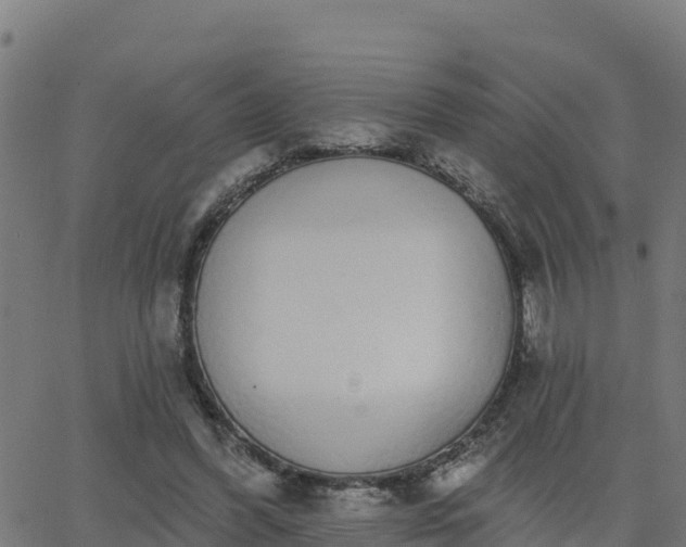 X0000062840396200601201643