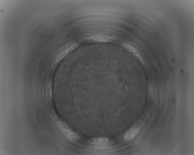 X0000062840398200601201643