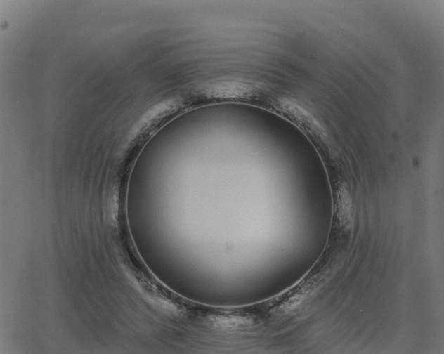 X0000062840400200601201643