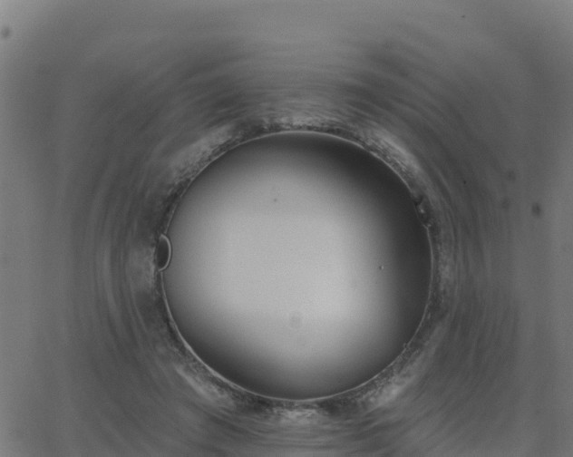 X0000062840401200601201643