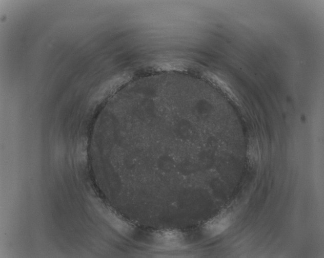 X0000062840402200601201643