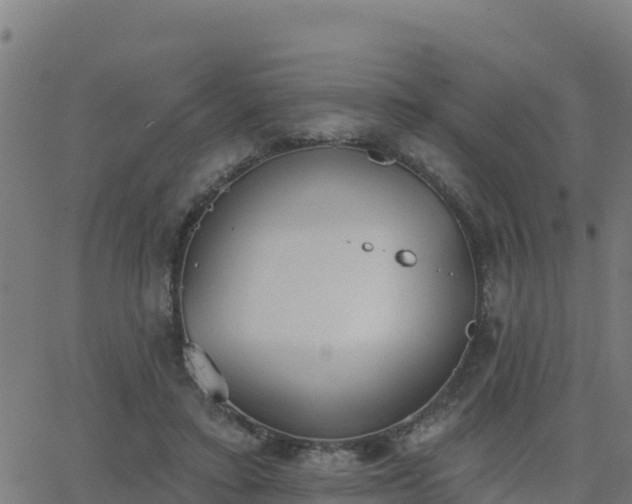 X0000062840403200601201643