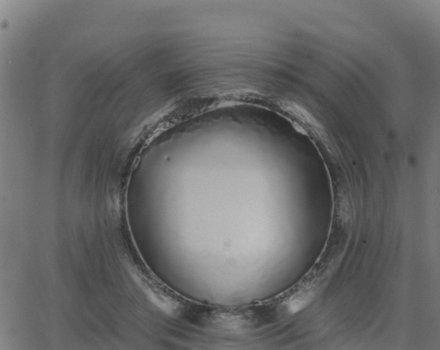 X0000062840405200601201643