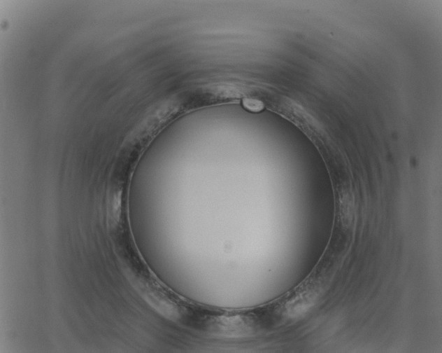 X0000062840406200601201643