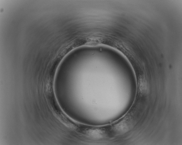 X0000062840408200601201643