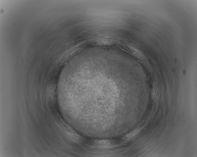 X0000062840409200601201643