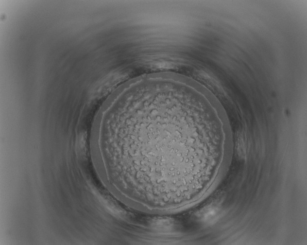 X0000062840410200601201643