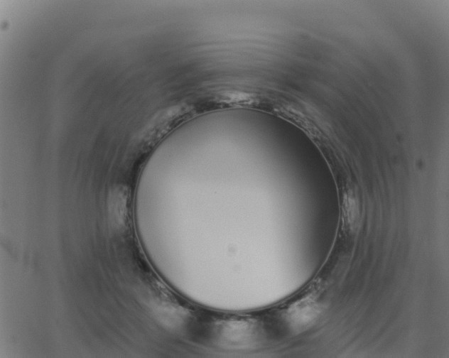 X0000062840412200601201643