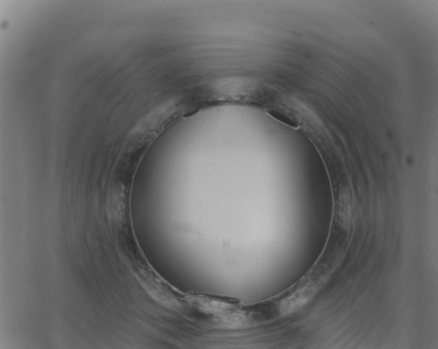 X0000062840413200601201643