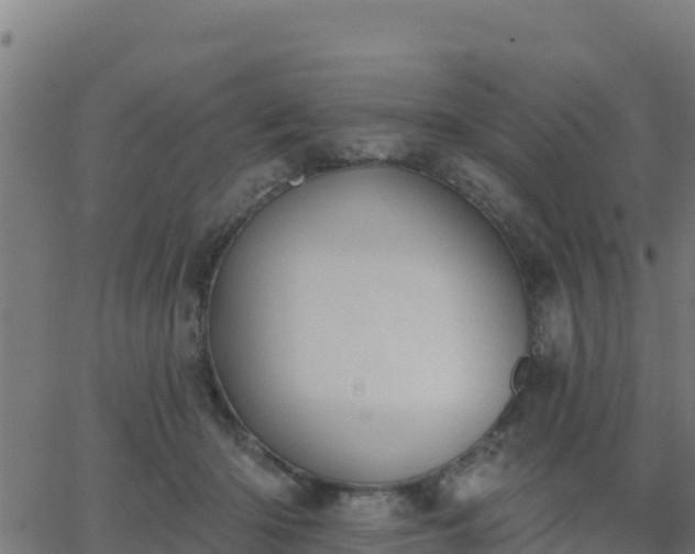 X0000062840414200601201643