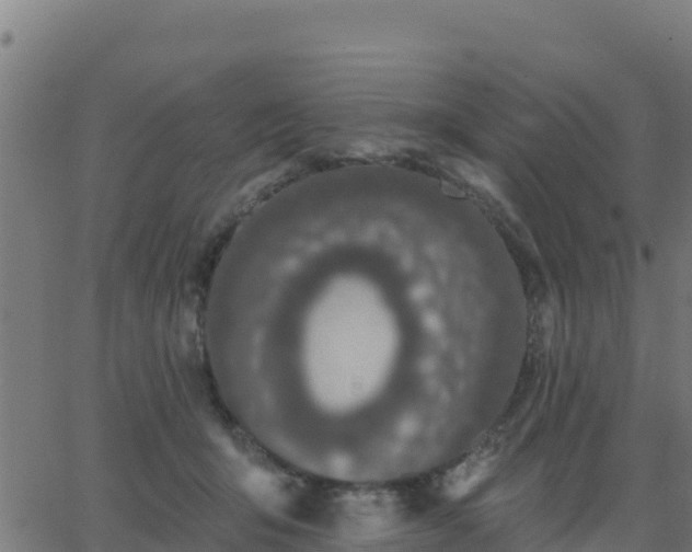 X0000062840415200601201643