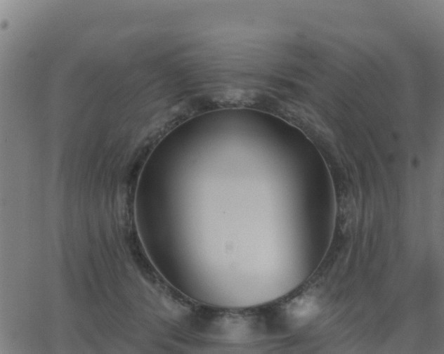 X0000062840416200601201643