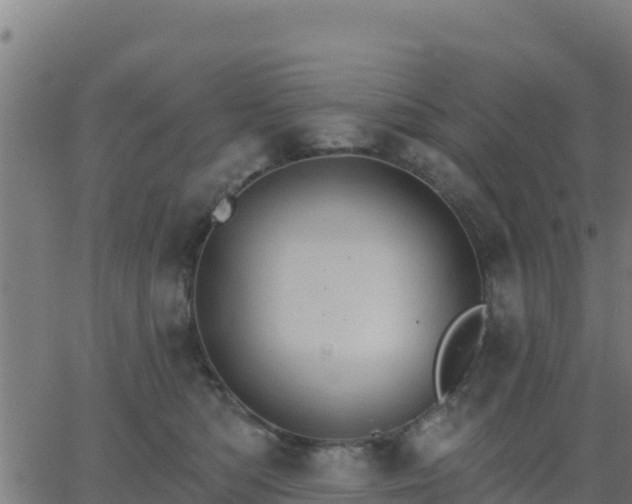 X0000062840422200601201643