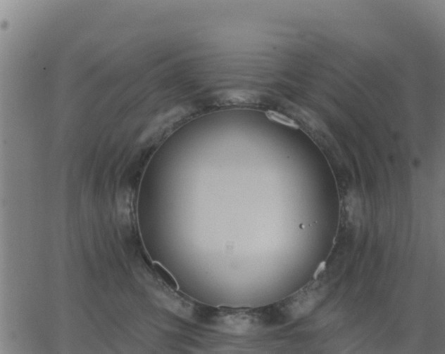 X0000062840423200601201643