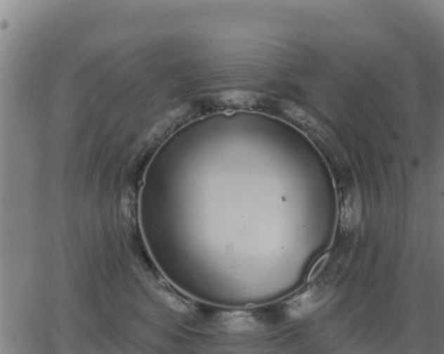 X0000062840424200601201643