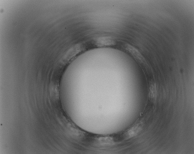 X0000062840426200601201643