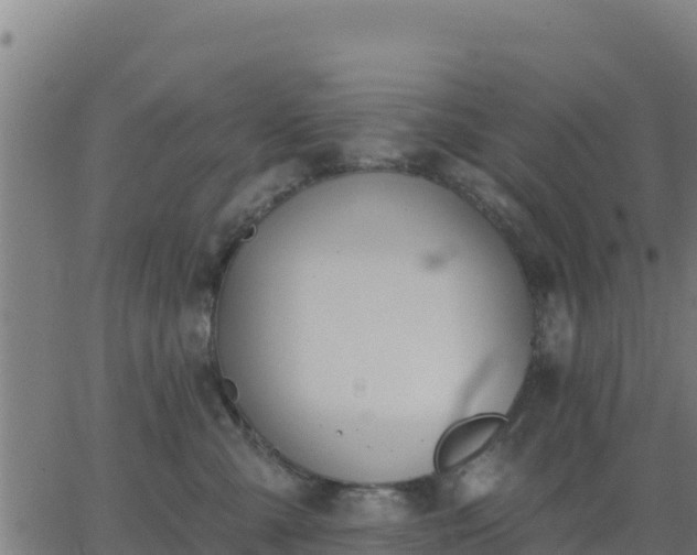 X0000062840427200601201643