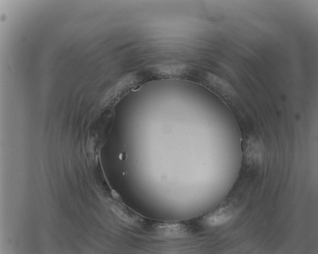 X0000062840428200601201643