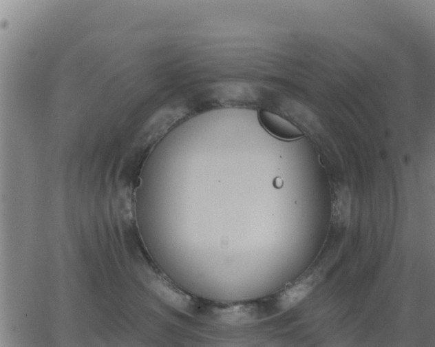 X0000062840430200601201643