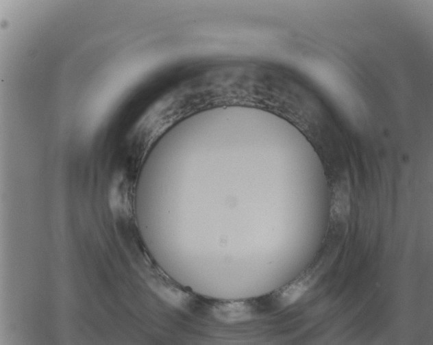 X0000062840431200601201643