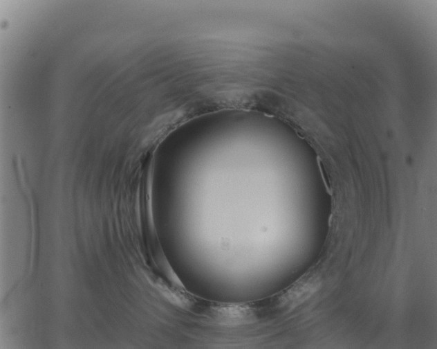 X0000062840432200601201643