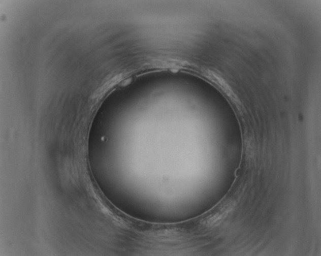 X0000062840433200601201642