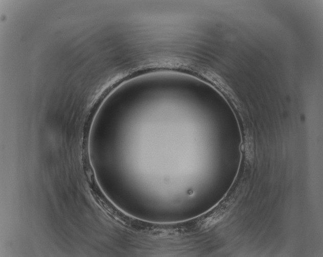 X0000062840434200601201642