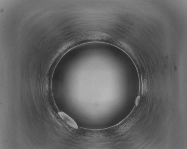 X0000062840435200601201642