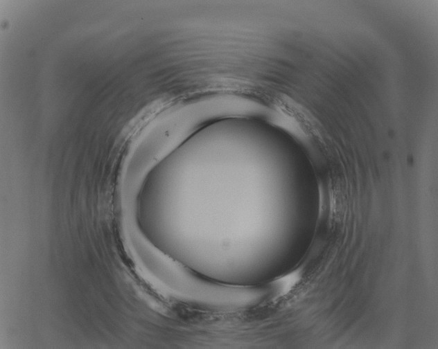 X0000062840436200601201642