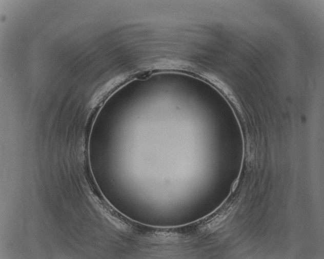 X0000062840437200601201642