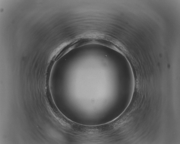 X0000062840438200601201642