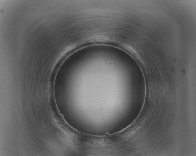 X0000062840439200601201642