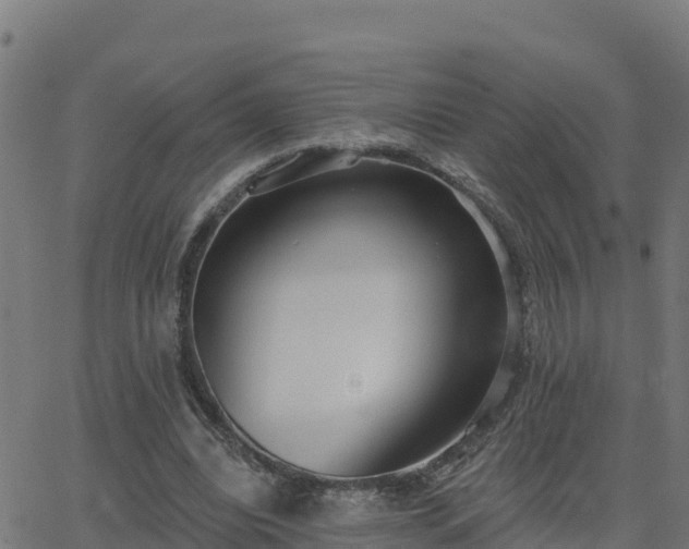 X0000062840440200601201642