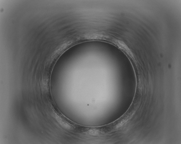 X0000062840441200601201642