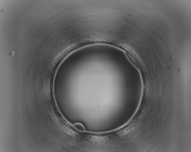 X0000062840442200601201642