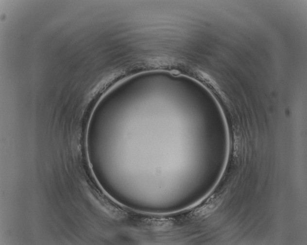 X0000062840443200601201642