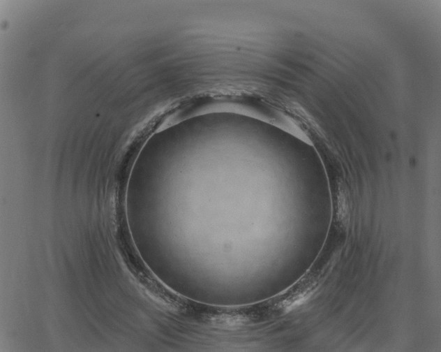 X0000062840444200601201642