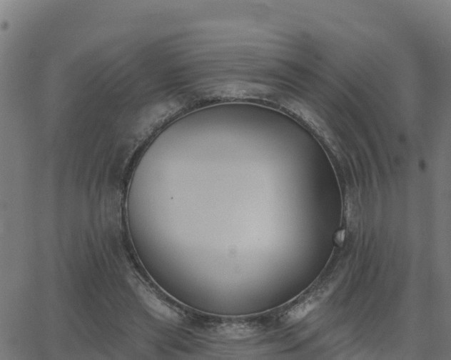 X0000062840445200601201642